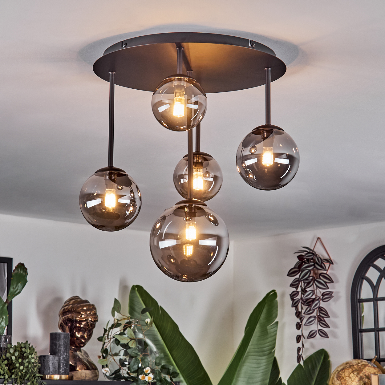 Eine moderne Deckenleuchte mit fünf Glaskugelleuchten hängt von der Decke. Pflanzen und Dekoration sind im Hintergrund sichtbar.