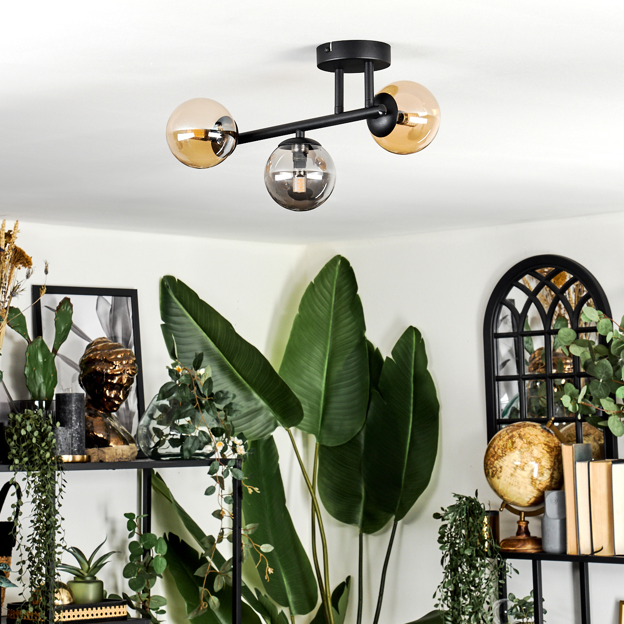 Deckenlampe mit drei Glaskugeln. Darunter große grüne Blätter, Regale mit Pflanzen, eine Büste, ein Globus und Bücher.