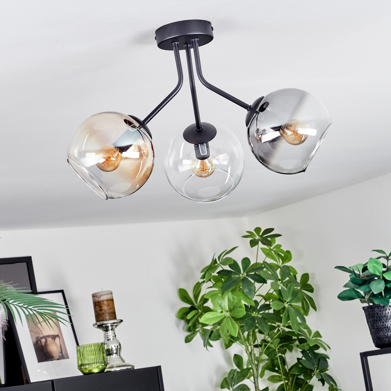 Moderne Deckenlampe mit drei Glaskugeln. Darunter eine grüne Pflanze und gerahmte Bilder auf einem schwarzen Schrank. Weißer Hintergrund.