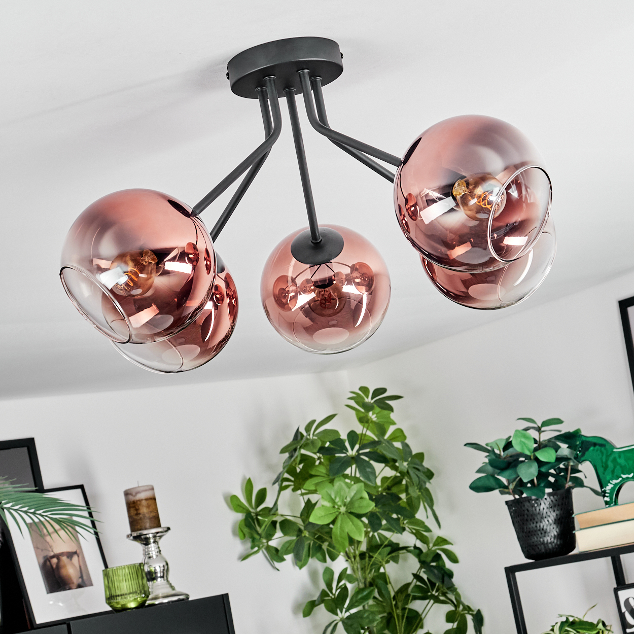 Eine moderne Deckenlampe mit drei kupferfarbenen Glaskugeln. Darunter sind grüne Pflanzen und gerahmte Bilder zu sehen.