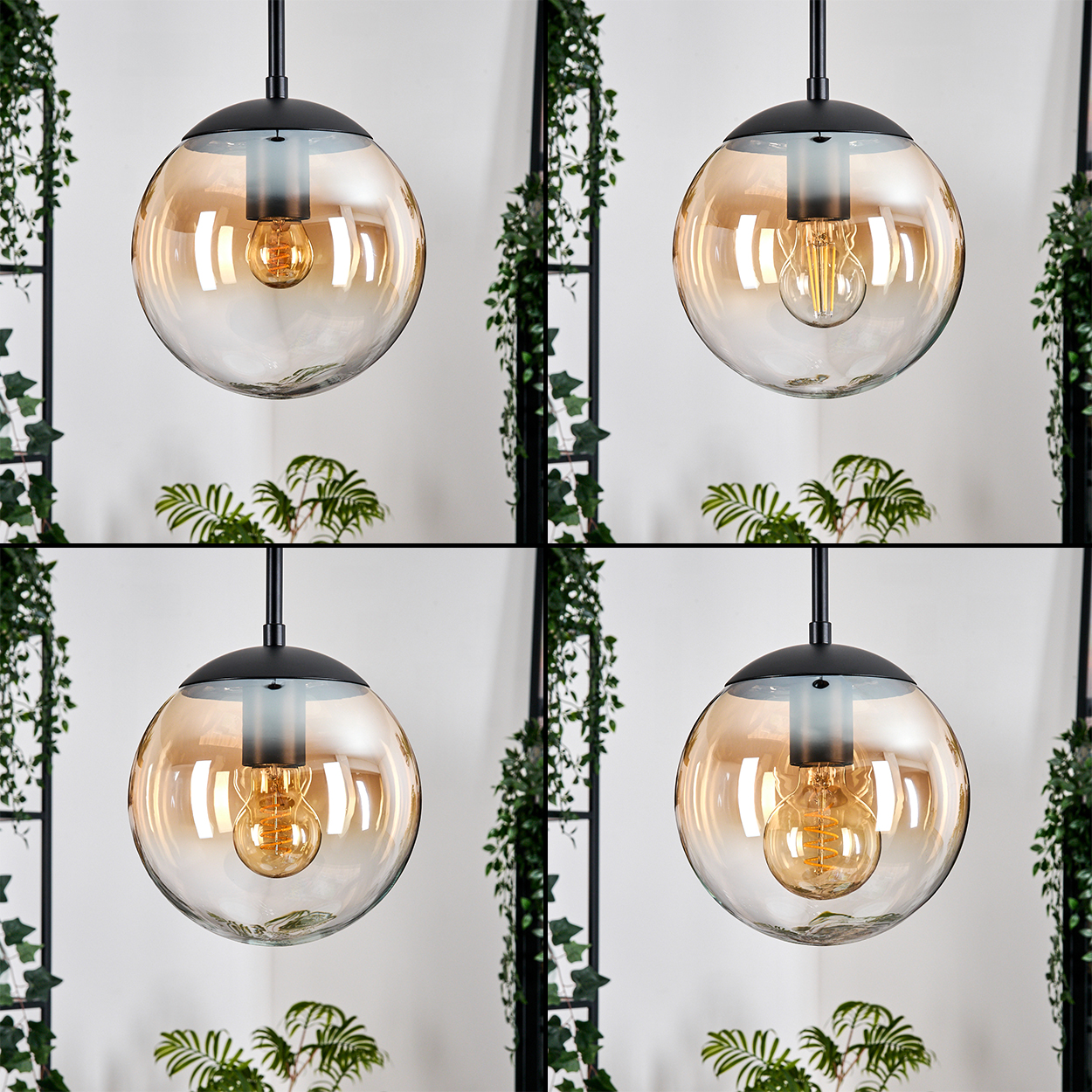 Vier kugelförmige Pendelleuchten mit bernsteinfarbenen Glasschirmen, schwarzen Armaturen und sichtbaren Glühbirnen, umgeben von Grün.