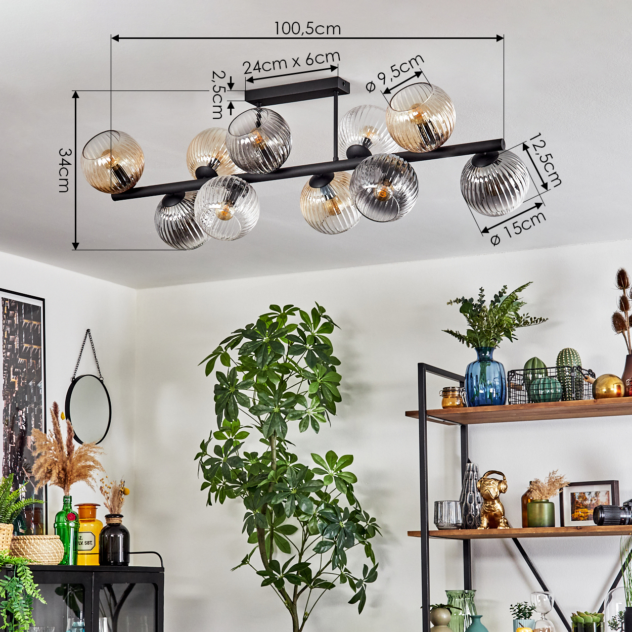 Eine moderne schwarze Deckenlampe mit Glaskugeln. Davor eine große grüne Pflanze. Regale mit Dekorationen im Hintergrund.