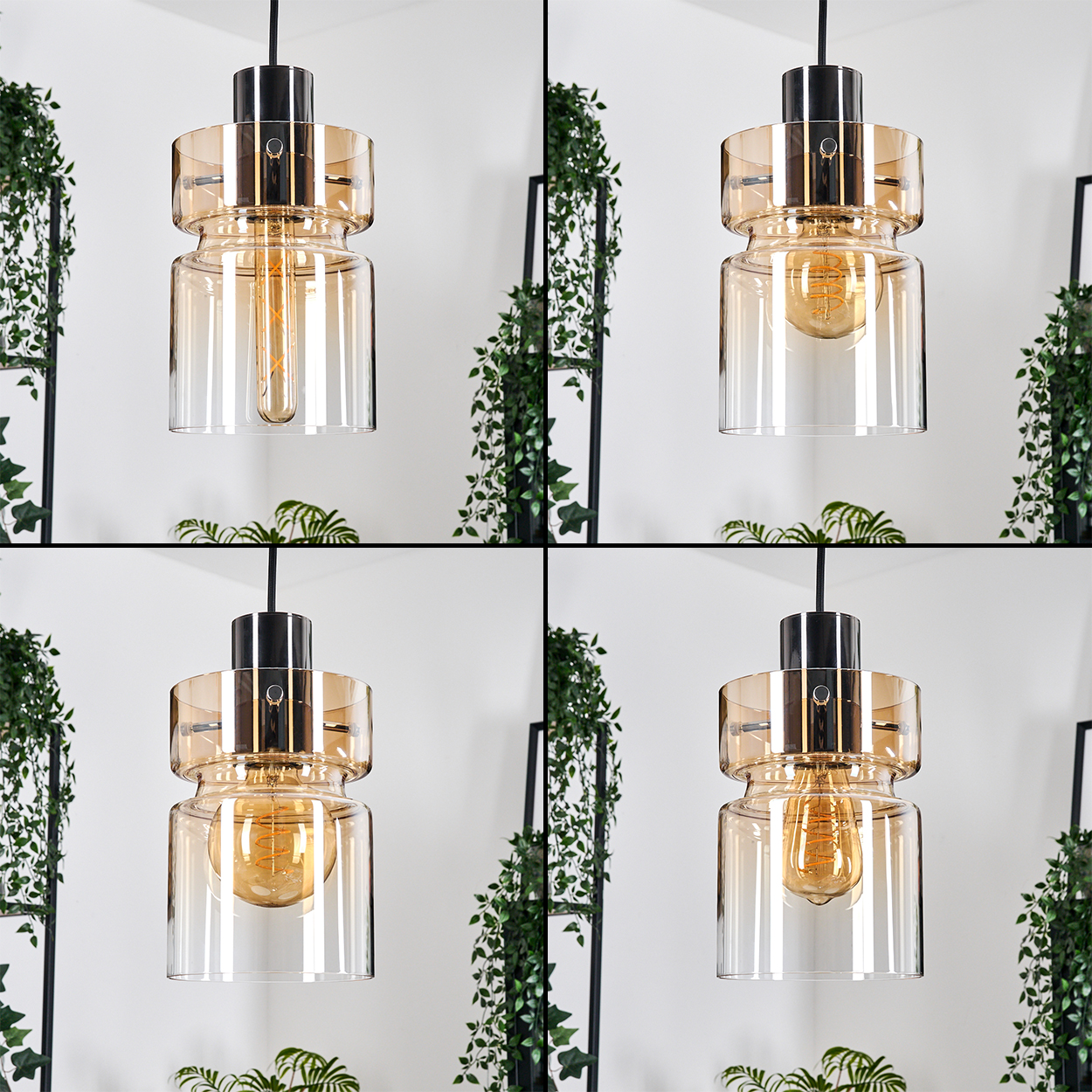 Eine moderne Pendelleuchte mit klarem Glasschirm und warmfarbiger Glühbirne hängt von der Decke. Grüne Pflanzen im Hintergrund.