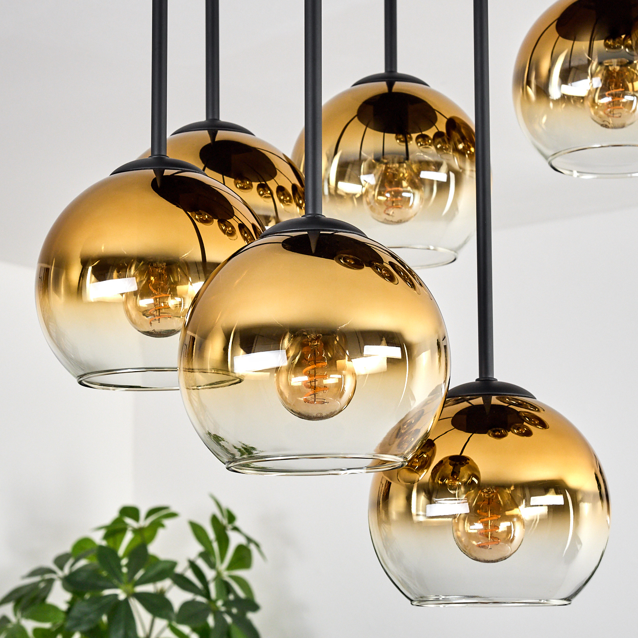 Nahaufnahme von modernen Pendelleuchten mit goldenen Glaskugeln. Jede Kugel hat eine Glühbirne und hängt an einer schwarzen Stange. Grüne Pflanze unten.