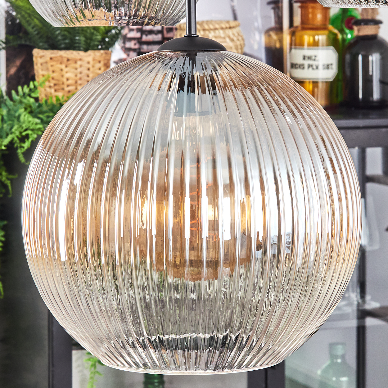 Eine klare, gerippte Glas-Hängelampe. Die Glühbirne im Inneren leuchtet. Im Hintergrund sind Pflanzen und Regale mit Flaschen zu sehen.