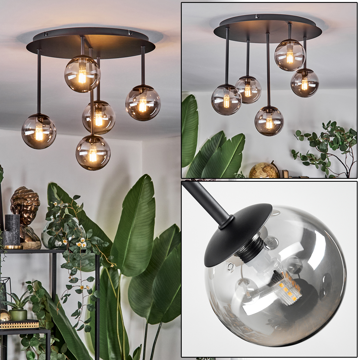Deckenlampe mit runder, schwarzer Basis, hängenden Glaskugeln mit leuchtenden Glühbirnen. Grüne Pflanzen im Hintergrund, Regal mit Dekoration.