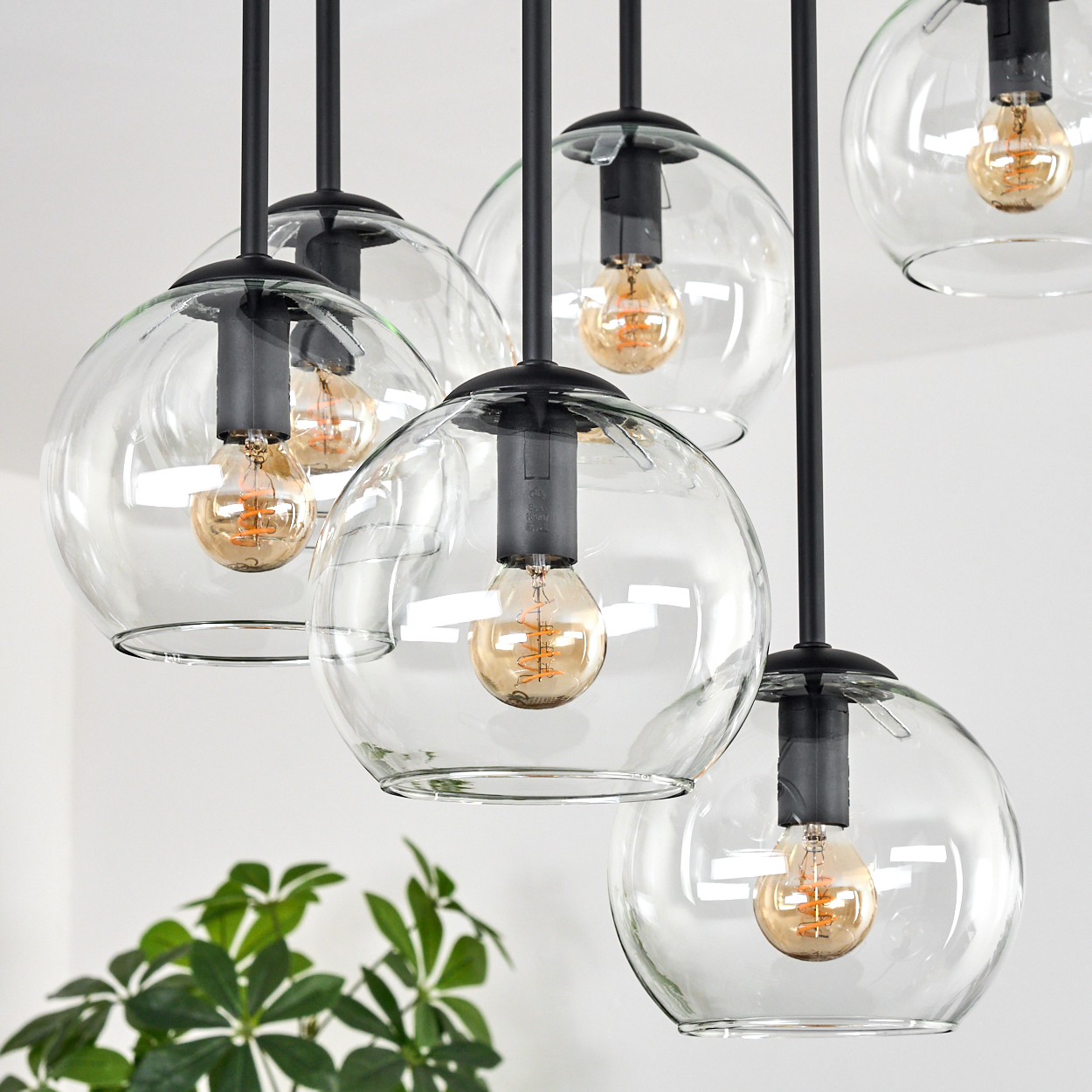 Nahaufnahme eines modernen Kronleuchters mit sechs kugelförmigen Glasschirmen, jeweils mit einer warmtonigen Glühbirne. Schwarze Stäbe hängen die Lichter auf.