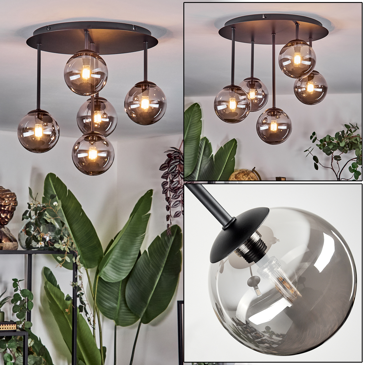 Eine moderne Deckenleuchte mit sechs Glaskugelschirmen. Das Licht ist von Pflanzen und einem schwarzen Metallregal umgeben.