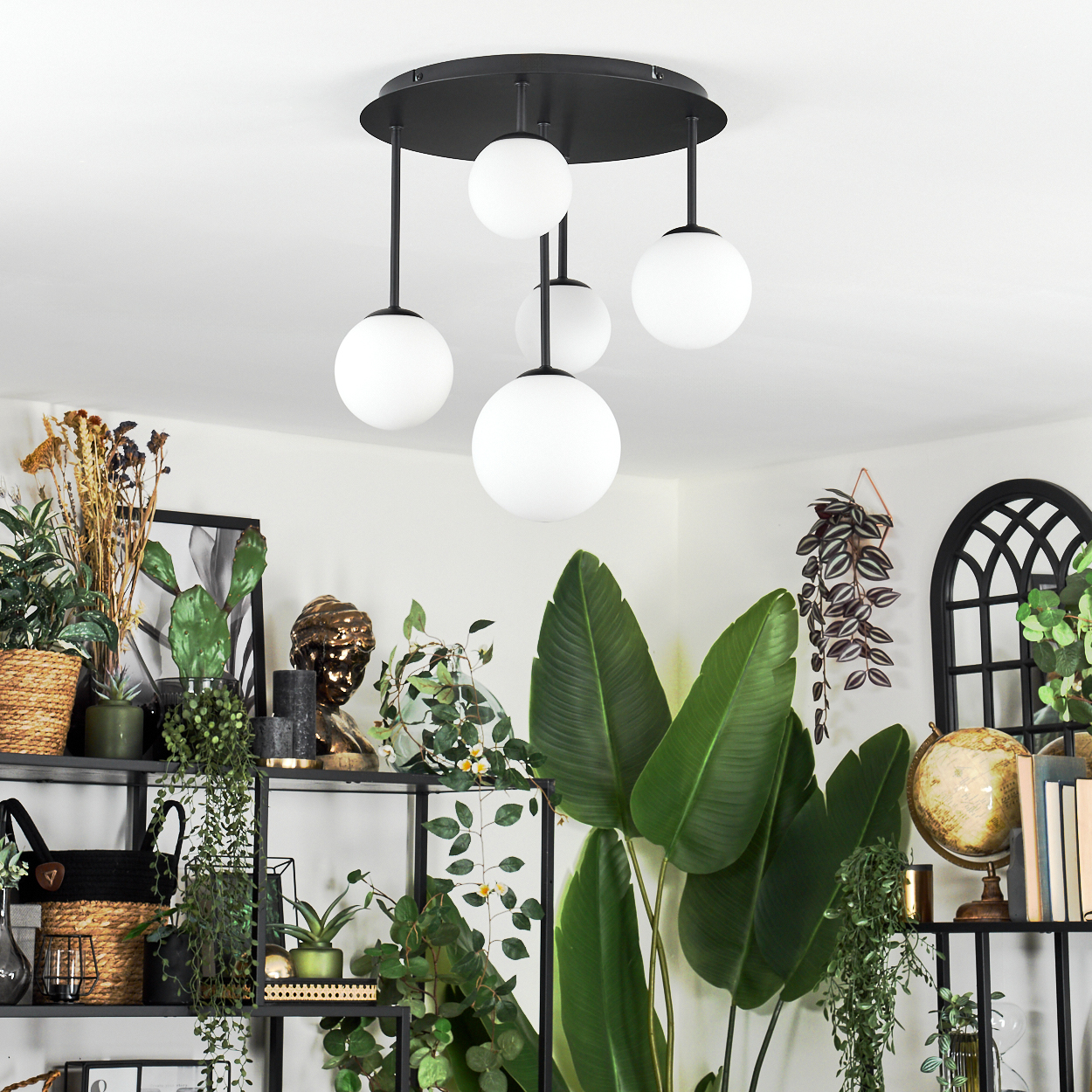 Ein modernes Wohnzimmer mit schwarzem Kronleuchter, weißen Kugelleuchten und vielen Pflanzen auf Regalen und dem Boden.