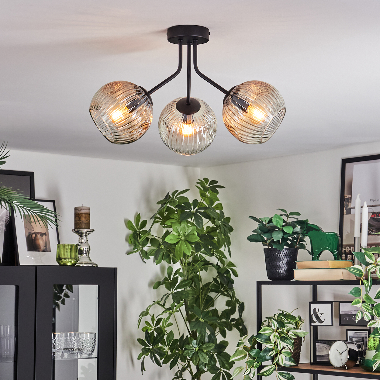 Moderne Deckenlampe mit drei Glaskugeln. Darunter sind verschiedene Pflanzen und Dekorationsartikel angeordnet.