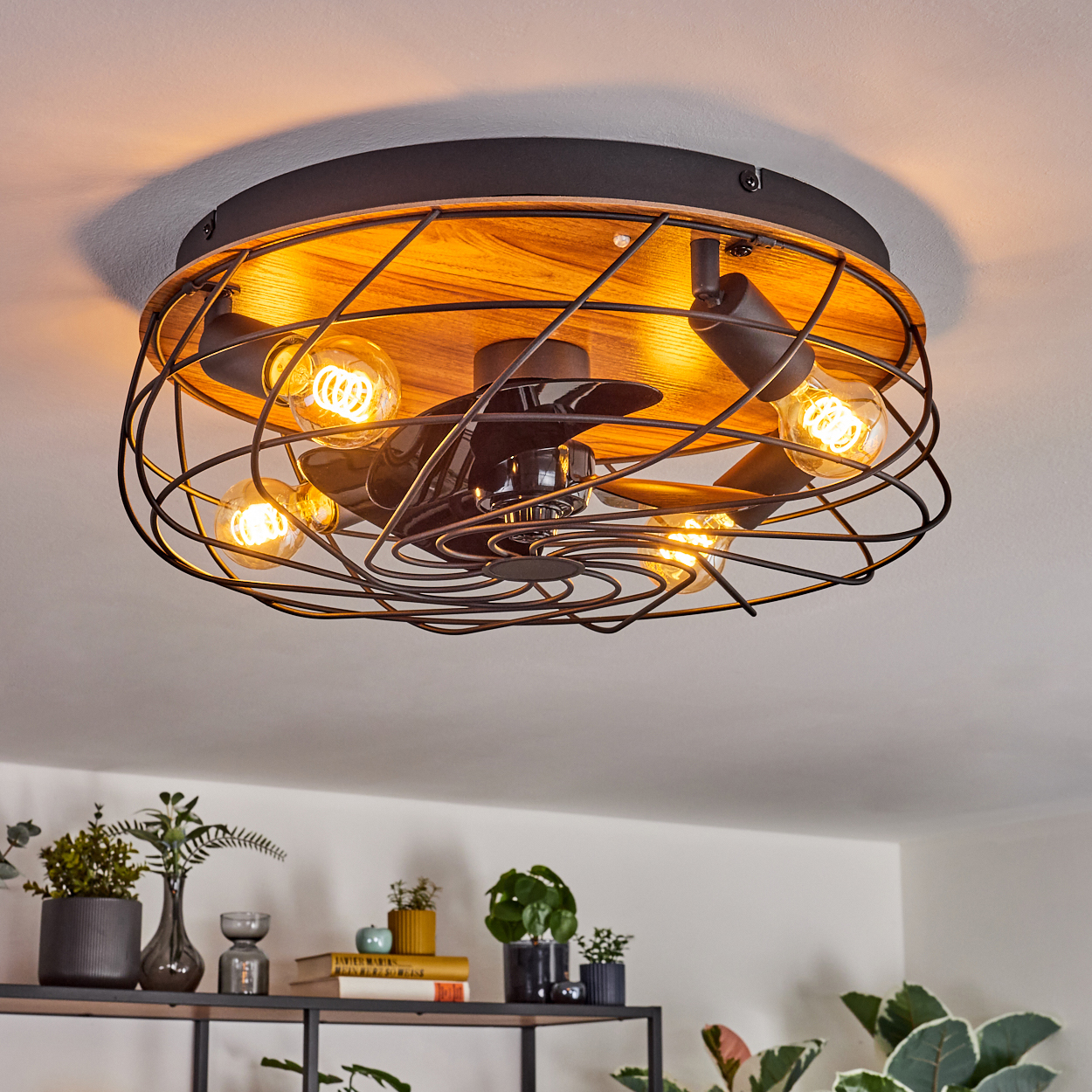 Deckenventilator mit Lichtern. Schwarzer Metallkäfig um Holzsockel. Mehrere leuchtende Glühbirnen. Pflanzen auf Regal darunter.