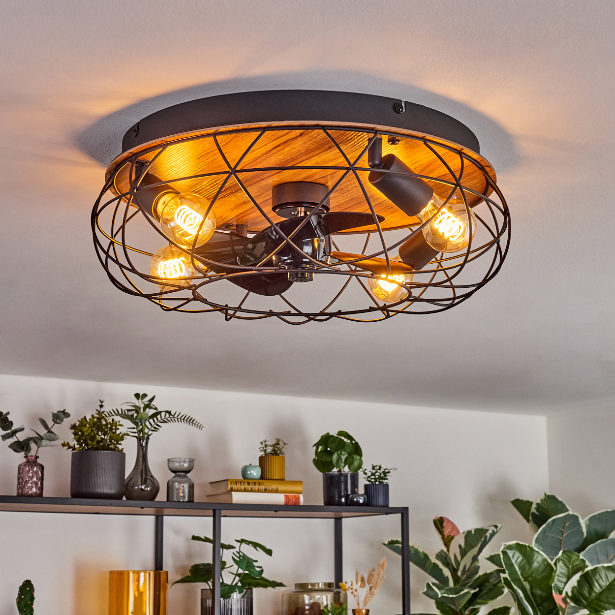 Deckenventilator mit Lichtern. Schwarzer Metallkäfig um Glühbirnen und Holzmitte. Pflanzen auf Regalen darunter.