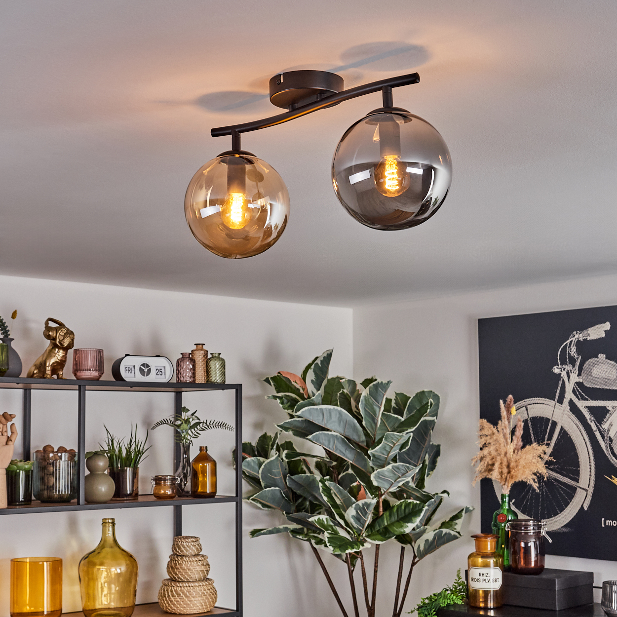 Deckenleuchte mit zwei Glaskugelschirmen. Darunter eine Pflanze, Regale mit Dekor und ein Fahrradkunstwerk.