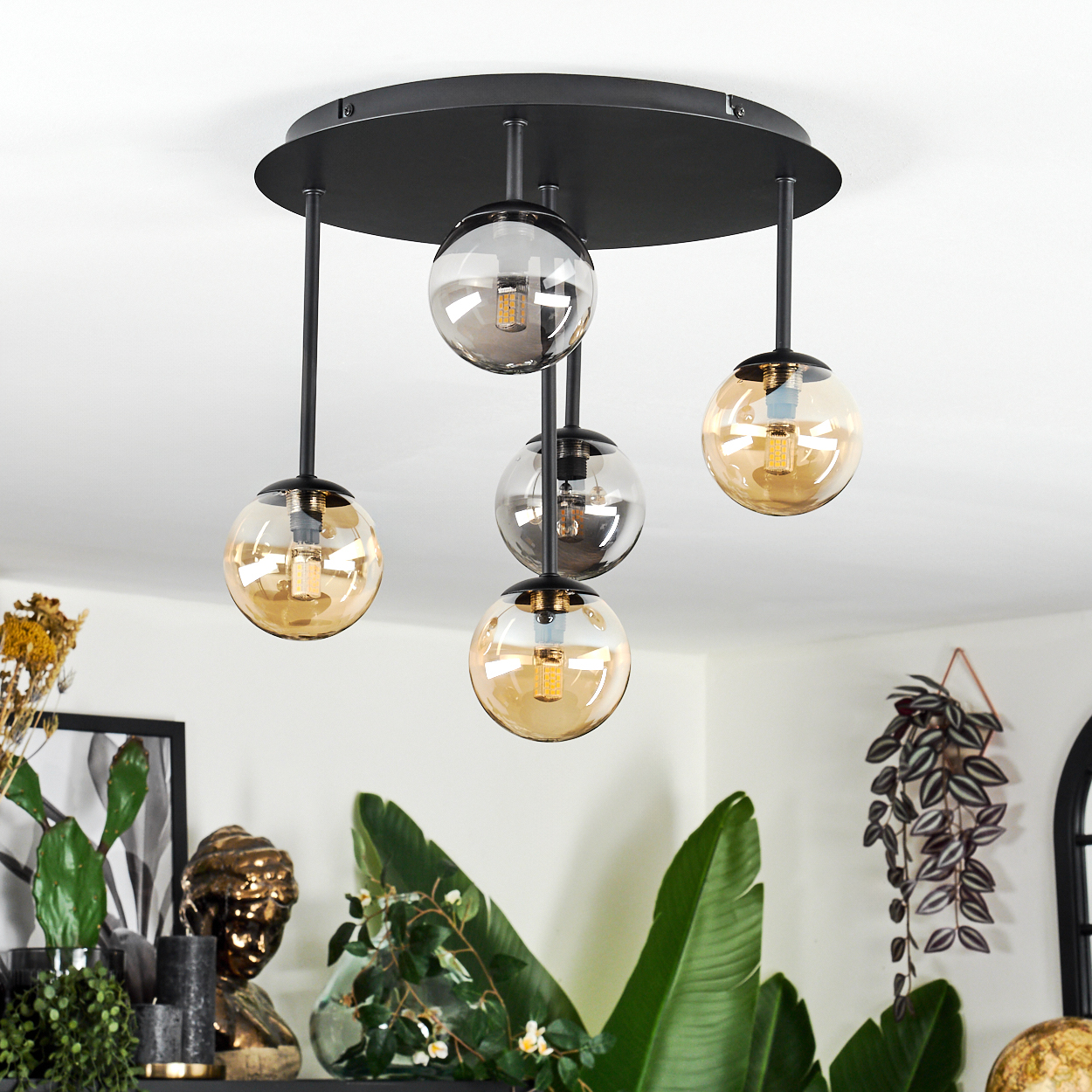 Eine moderne Deckenlampe mit fünf Glaskugeln. Die Leuchten hängen von einer schwarzen kreisförmigen Basis ab. Pflanzen und Dekoration befinden sich im Hintergrund.