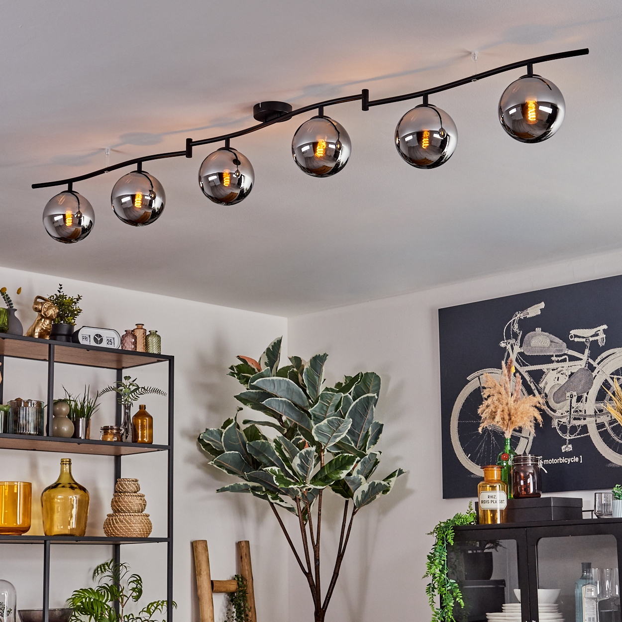 Ein modernes Zimmer mit einer schwarzen Schienenbeleuchtung mit 6 Glaskugelleuchten. Es gibt eine Pflanze, ein Regal mit Dekoration und eine Fahrradkunst.