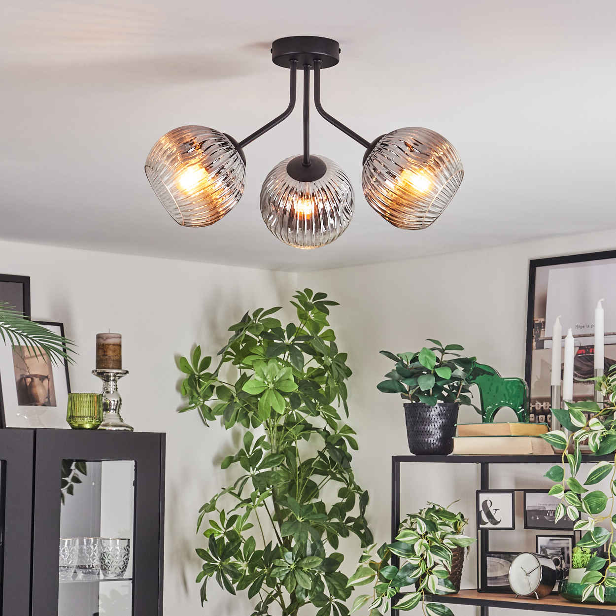 Eine moderne schwarze Deckenlampe mit drei Glaskugeln. Pflanzen und dekorative Gegenstände sind auf Regalen und Schränken angeordnet.