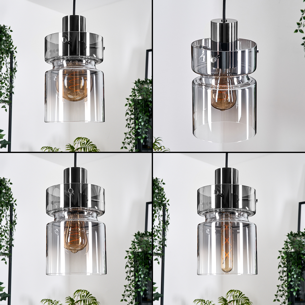 Eine moderne Glas-Pendelleuchte mit sichtbarer Glühbirne. Der Hintergrund zeigt Pflanzen und eine weiße Wand.