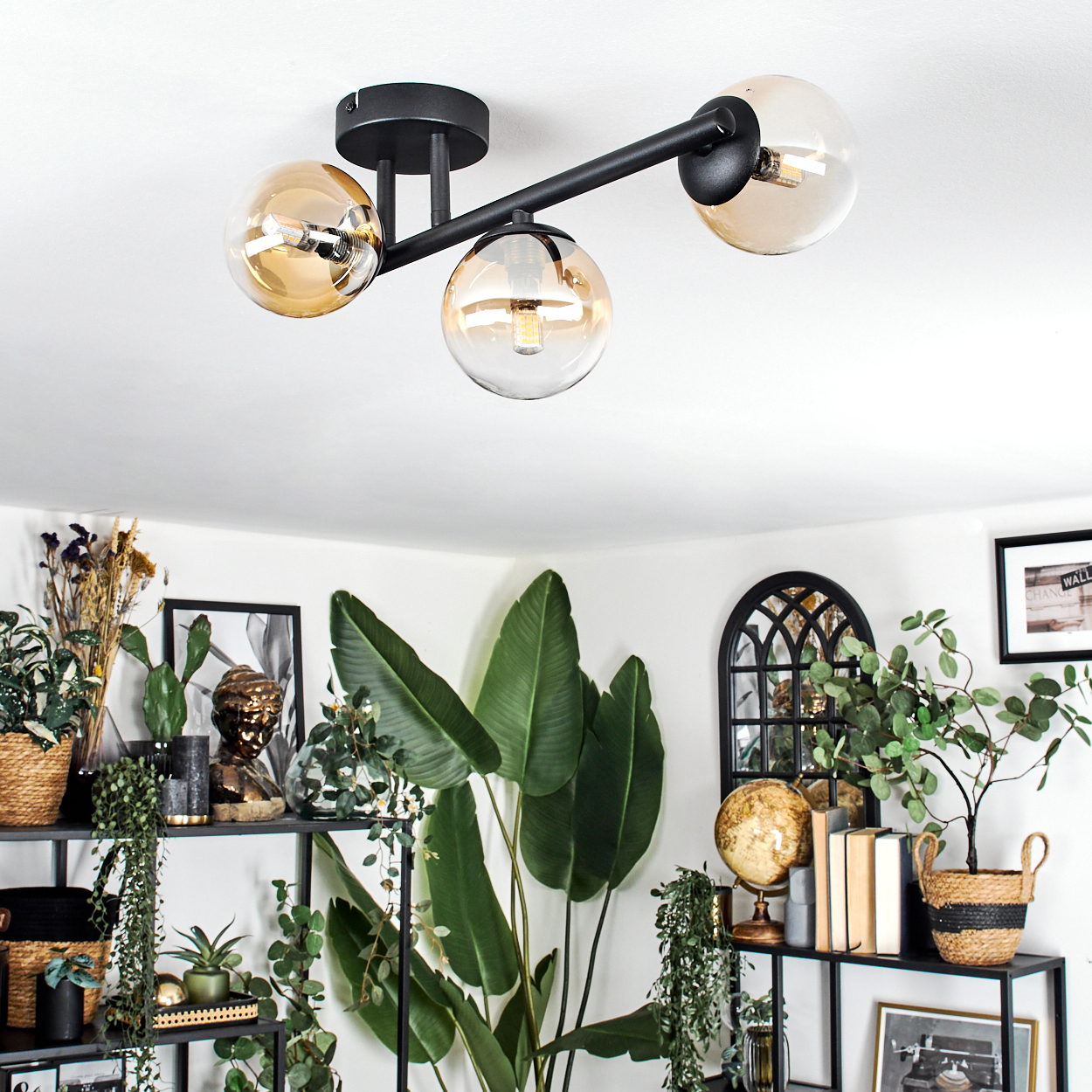 Eine moderne Deckenlampe mit drei kugelförmigen Lampenschirmen hängt über einem Regal mit Pflanzen, Büchern und Dekorationsartikeln. Weiße Wände.