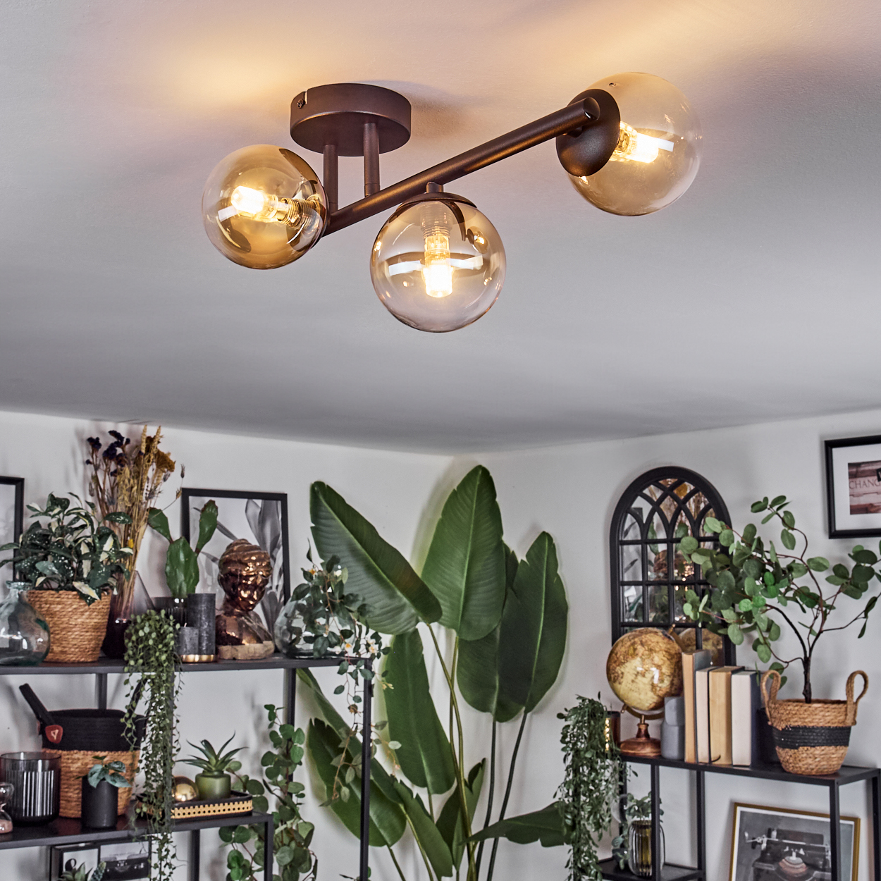 Moderne Deckenleuchte mit drei Glaskugeln. Darunter Regale mit Pflanzen, Dekoration und einer Büste. Im Hintergrund weitere Pflanzen.