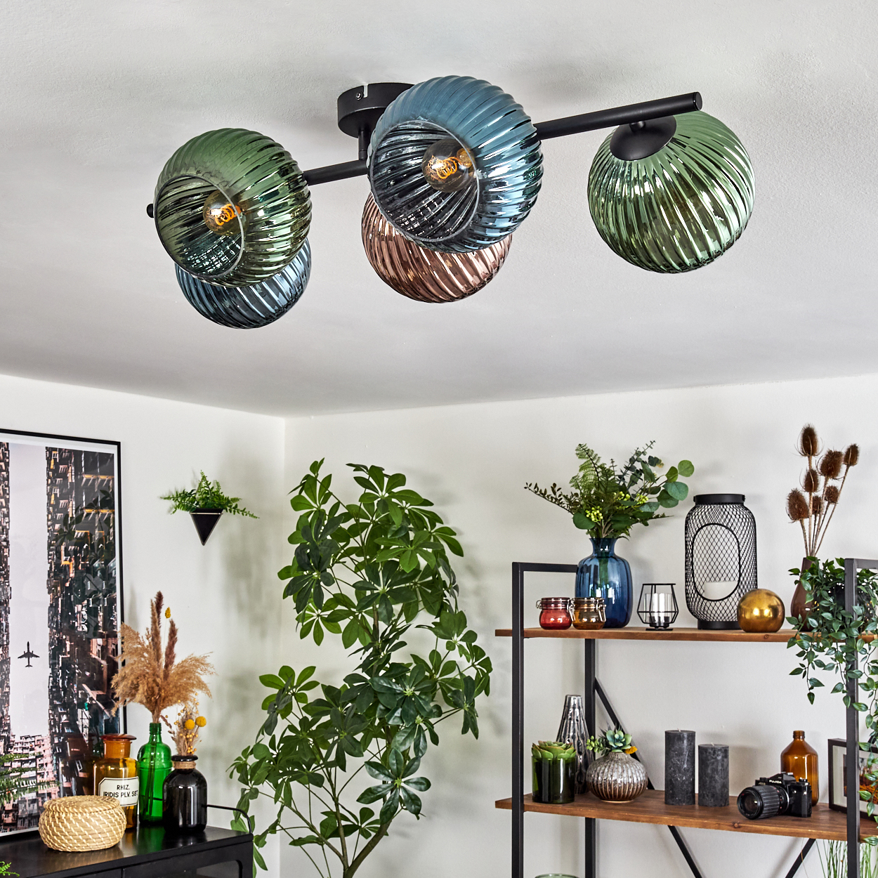 Deckenlampe mit grünen, blauen und kupferfarbenen Glasschirmen. Pflanzen und Dekoration auf Regalen und einem schwarzen Schrank.