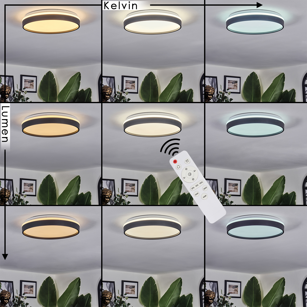 Eine Deckenleuchte mit Fernbedienung, die verschiedene Lichteinstellungen zeigt. Pflanzen und gerahmte Bilder im Hintergrund.