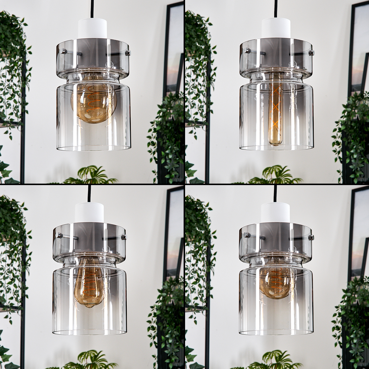 Eine moderne Pendelleuchte mit klarem Glasschirm und sichtbarer Glühbirne. Grüne Pflanzen und Bilder im Hintergrund.