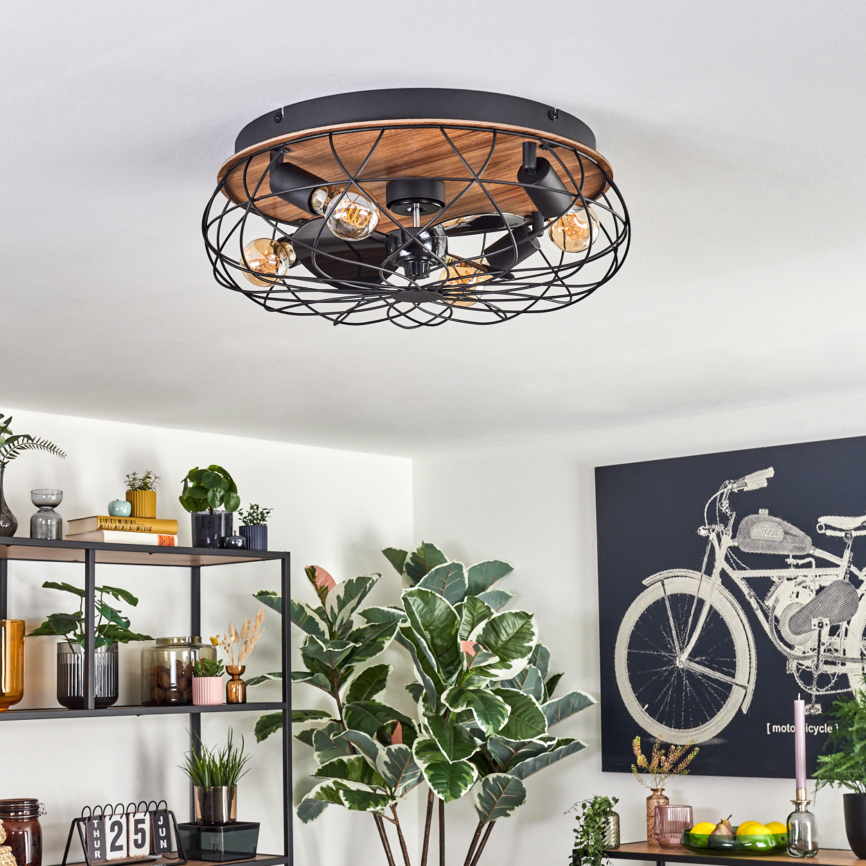 Ein Deckenventilator mit Glühbirnen ist an einer weißen Decke montiert. Regale mit Pflanzen und Dekor befinden sich im Vordergrund. Ein Motorrad-Kunstwerk hängt.