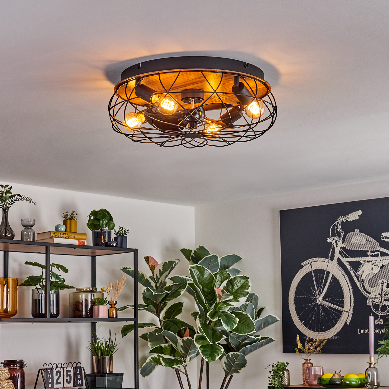 Deckenleuchte mit freiliegenden Glühbirnen, umgeben von einem schwarzen Käfig. Pflanzen und ein Regal sind im Vordergrund, und ein Fahrrad-Kunstwerk im Hintergrund.