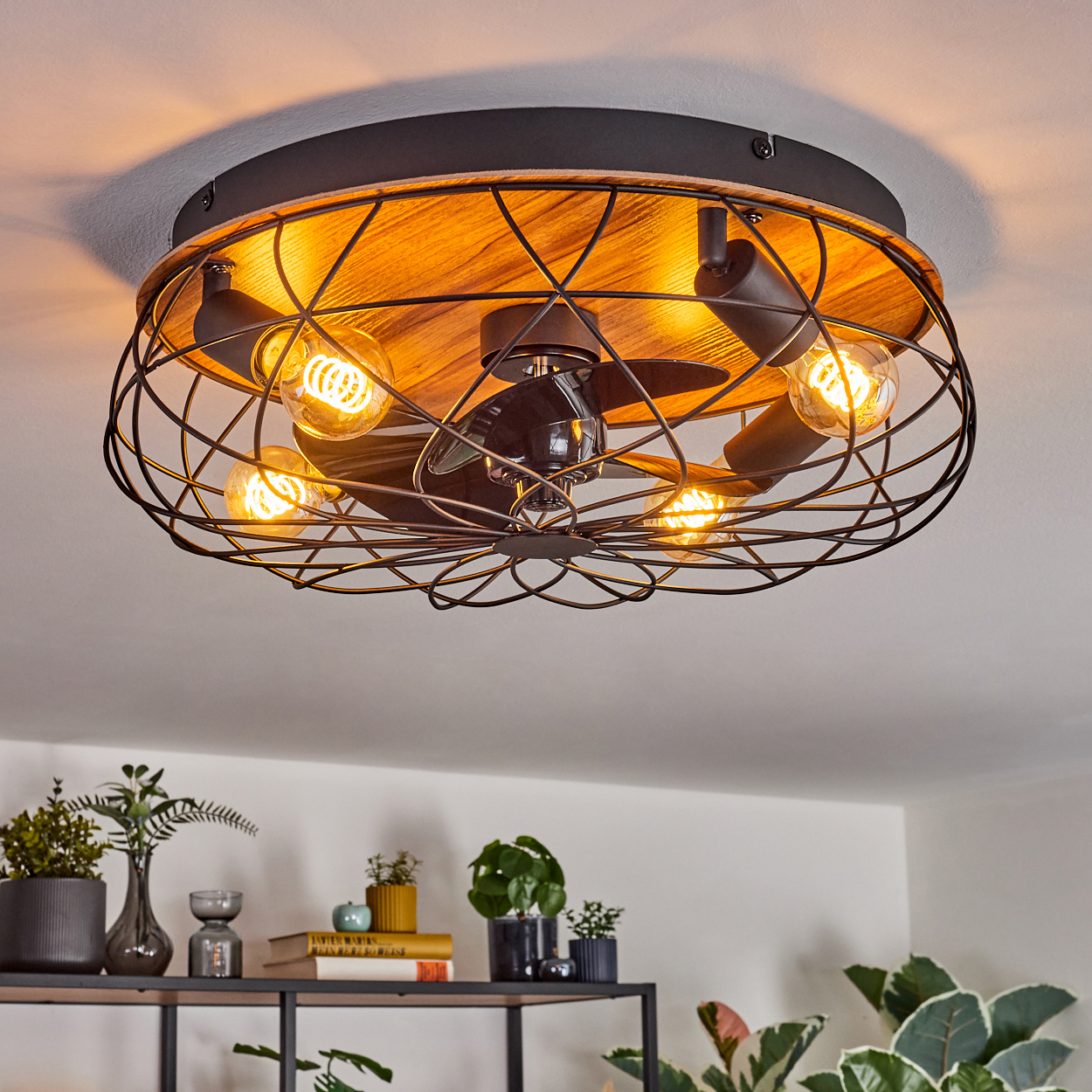 Deckenventilator mit Lichtern. Schwarzer Käfig, Holzsockel und Glühbirnen. Pflanzen und Regal im Vordergrund.