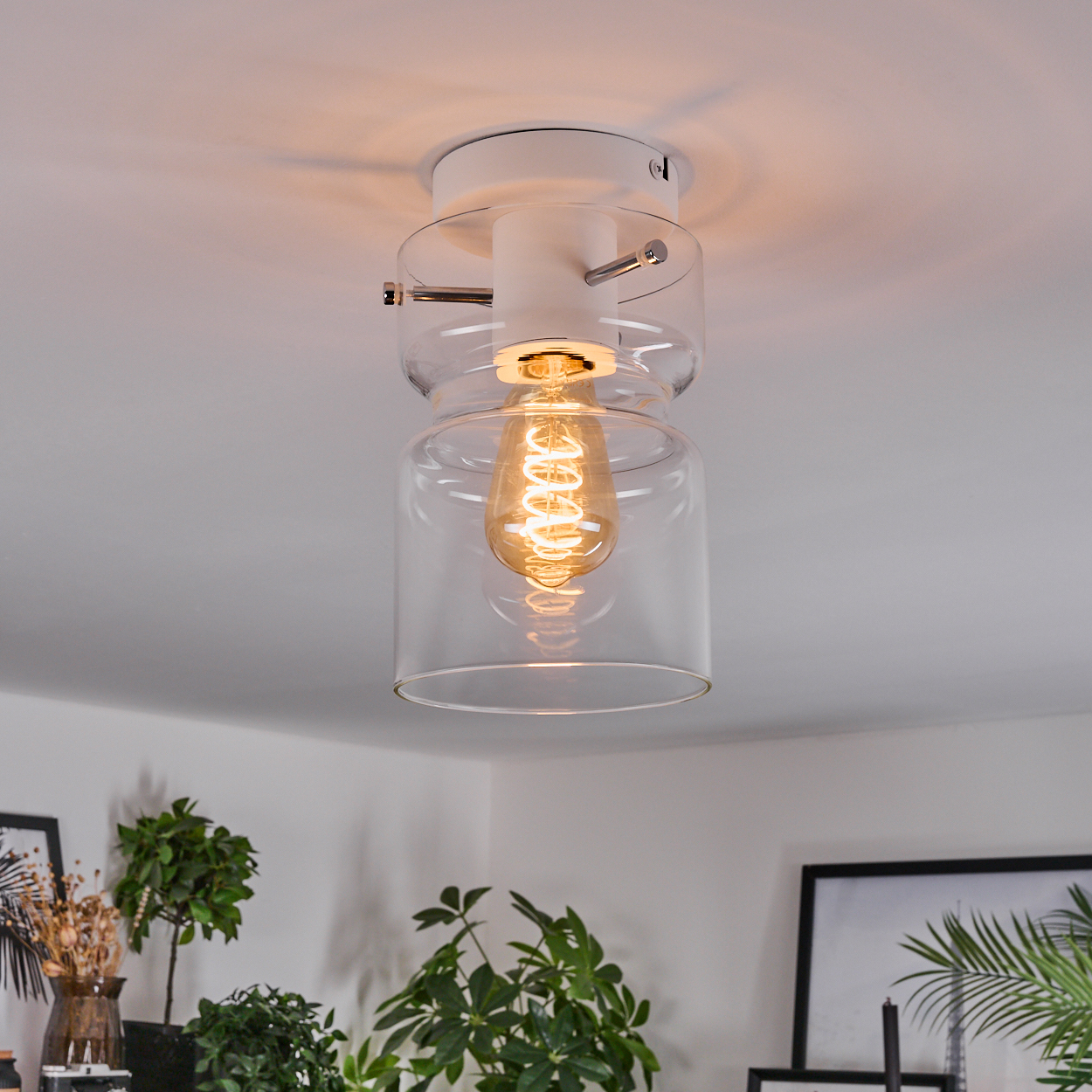 Eine Deckenleuchte mit klarem Glasschirm und sichtbarer Edison-Glühbirne ist an einer weißen Decke montiert, Pflanzen im Vordergrund.