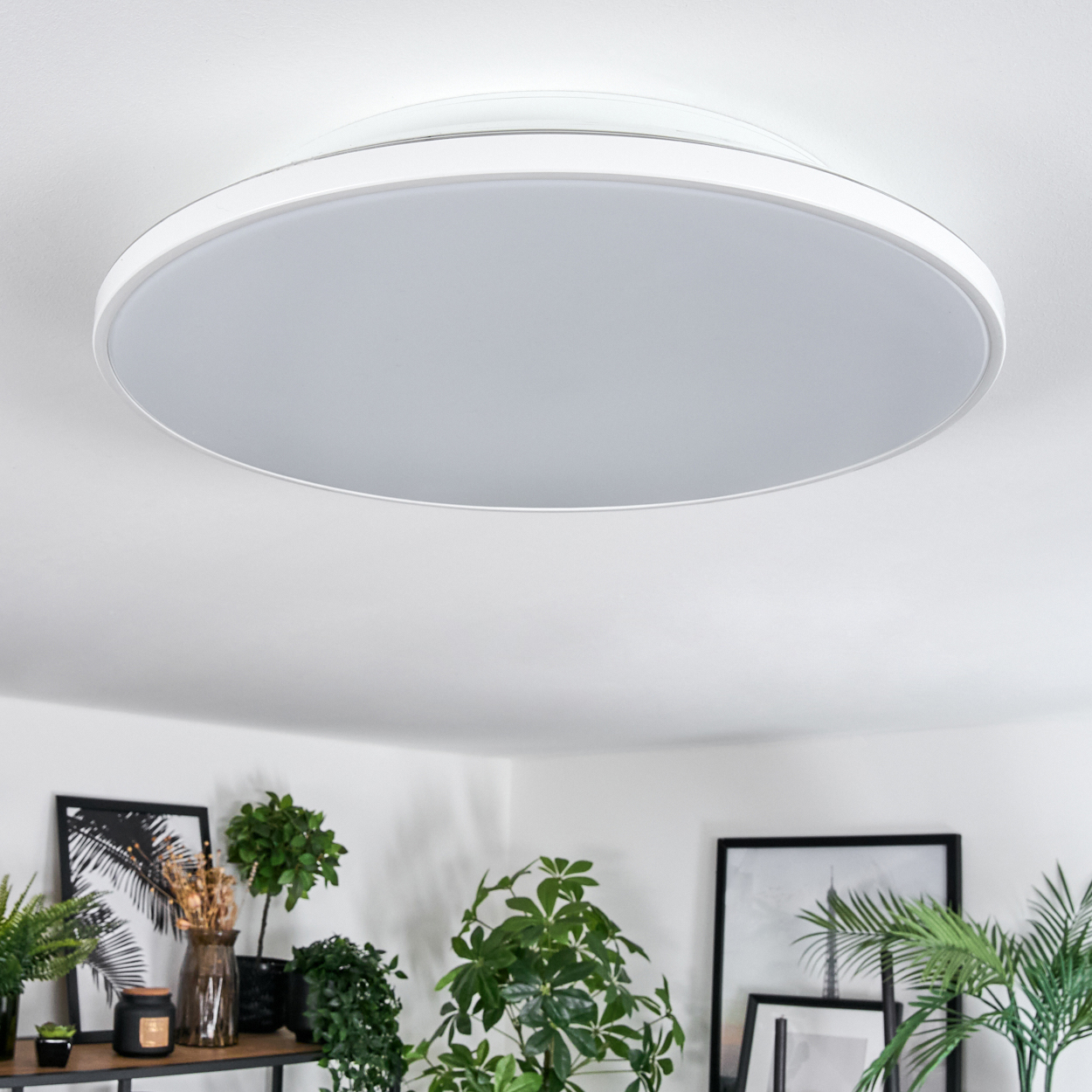Eine weiße, runde Deckenlampe ist installiert. Darunter befinden sich Pflanzen und gerahmte Bilder auf einem Regal.