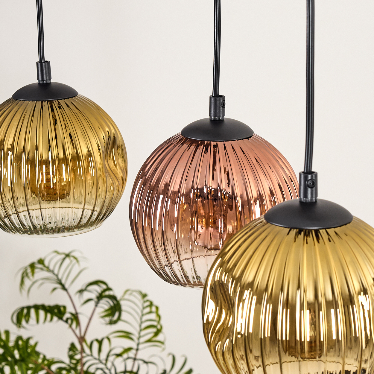 Drei Pendelleuchten mit Glaskugeln in Gold-, Kupfer- und Goldfarben. Schwarze Kabel und Armaturen. Im Hintergrund ist eine Pflanze zu sehen.
