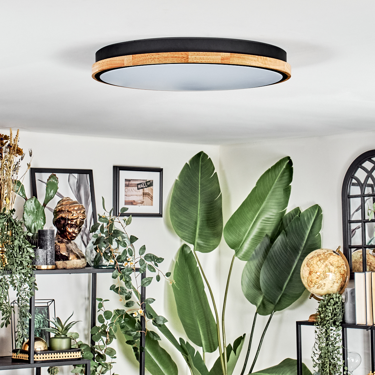 Ein Zimmer mit Deckenleuchte, Pflanzen, Regalen mit Dekorationen, einem Globus und gerahmten Bildern.