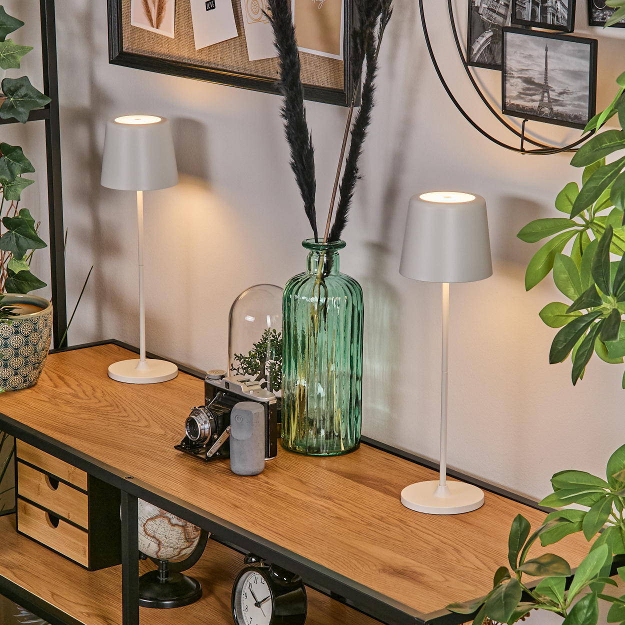 Holzregal mit Lampen, Vase, Kamera, Uhr und Globus. Grüne Pflanzen und Bilder im Hintergrund. Warmes Licht.