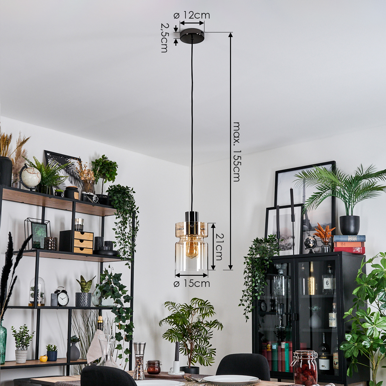 Ein modernes Esszimmer mit einer Hängelampe. Ein schwarzes Metallregal und ein schwarzer Schrank sind sichtbar, zusammen mit Pflanzen.