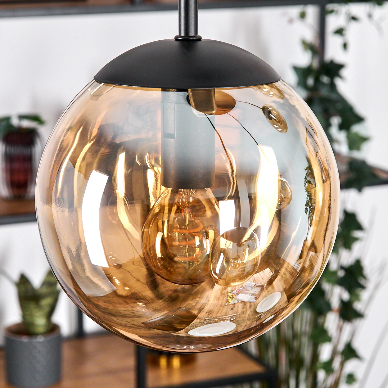 Eine moderne, kugelförmige Pendelleuchte mit schwarzem Oberteil. Das Glas ist bernsteinfarben und zeigt eine warme Glühbirne. Pflanzen und Regale im Hintergrund.