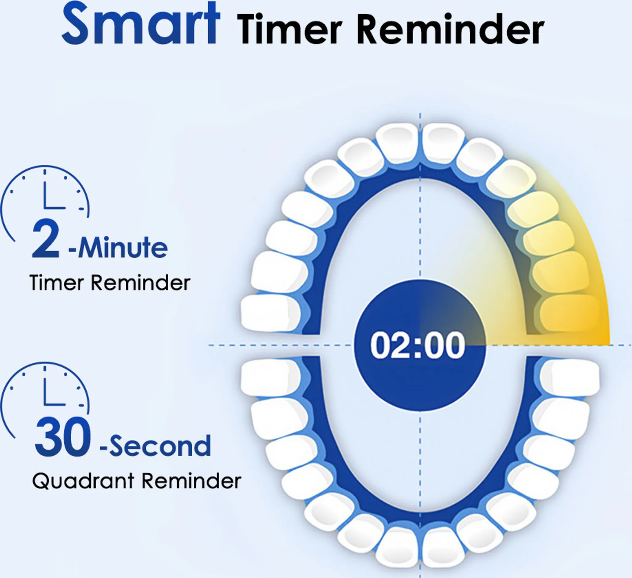 Das Bild zeigt ein Zahnmodell mit einem Timer. Es hat eine 2-Minuten- und eine 30-Sekunden-Erinnerung. Die Zeit ist 02:00. Die Zähne sind weiß.