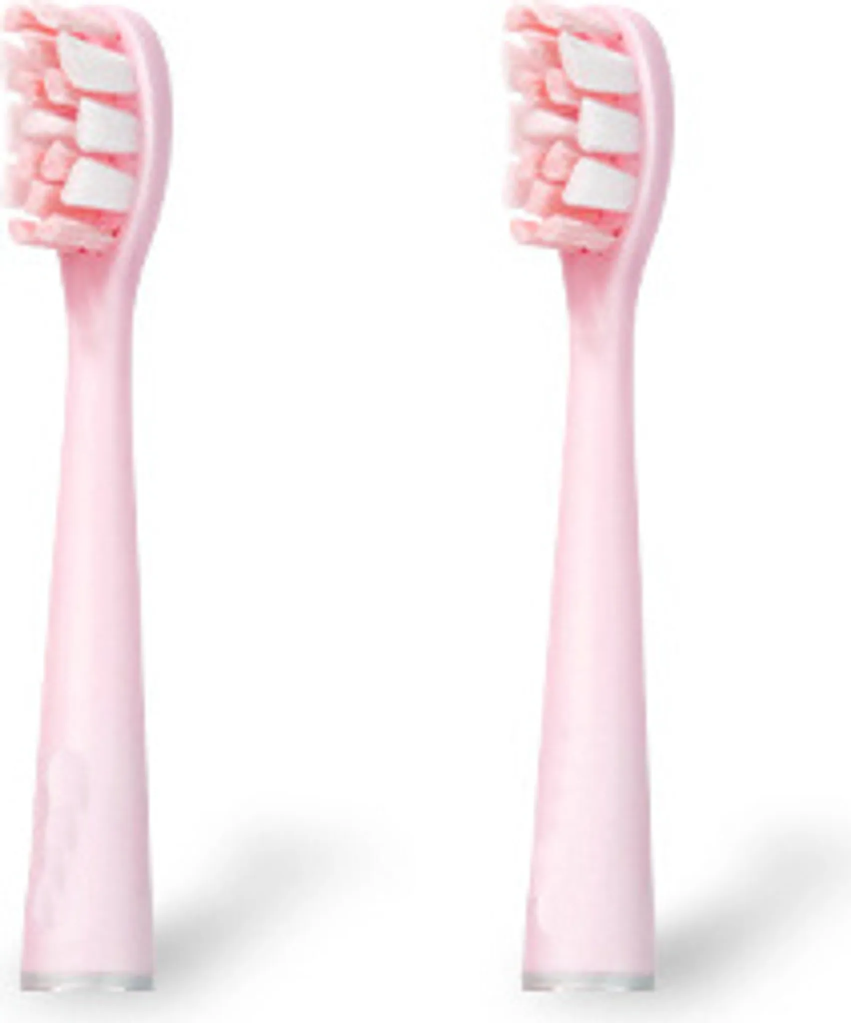 Zwei rosa Zahnbürstenköpfe. Jeder hat weiße Borsten und einen rosa Griff. Weißer Hintergrund.