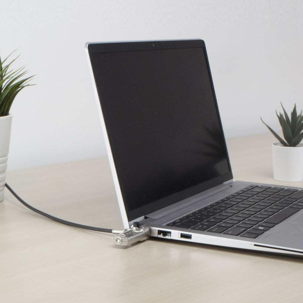 Laptop beveiligd met een kabelslot. De laptop staat op een licht houten bureau, met kleine potplanten aan weerszijden.