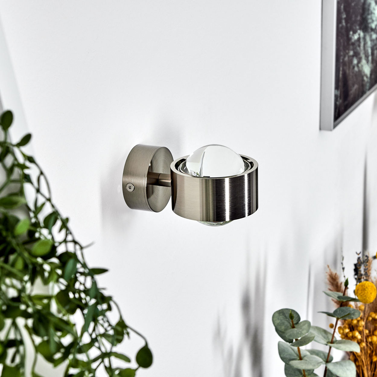 Eine moderne Wandleuchte mit einer Glaskugel in einer Halterung aus gebürstetem Metall. Grüne Pflanzen und Trockenblumen sind im Bild.