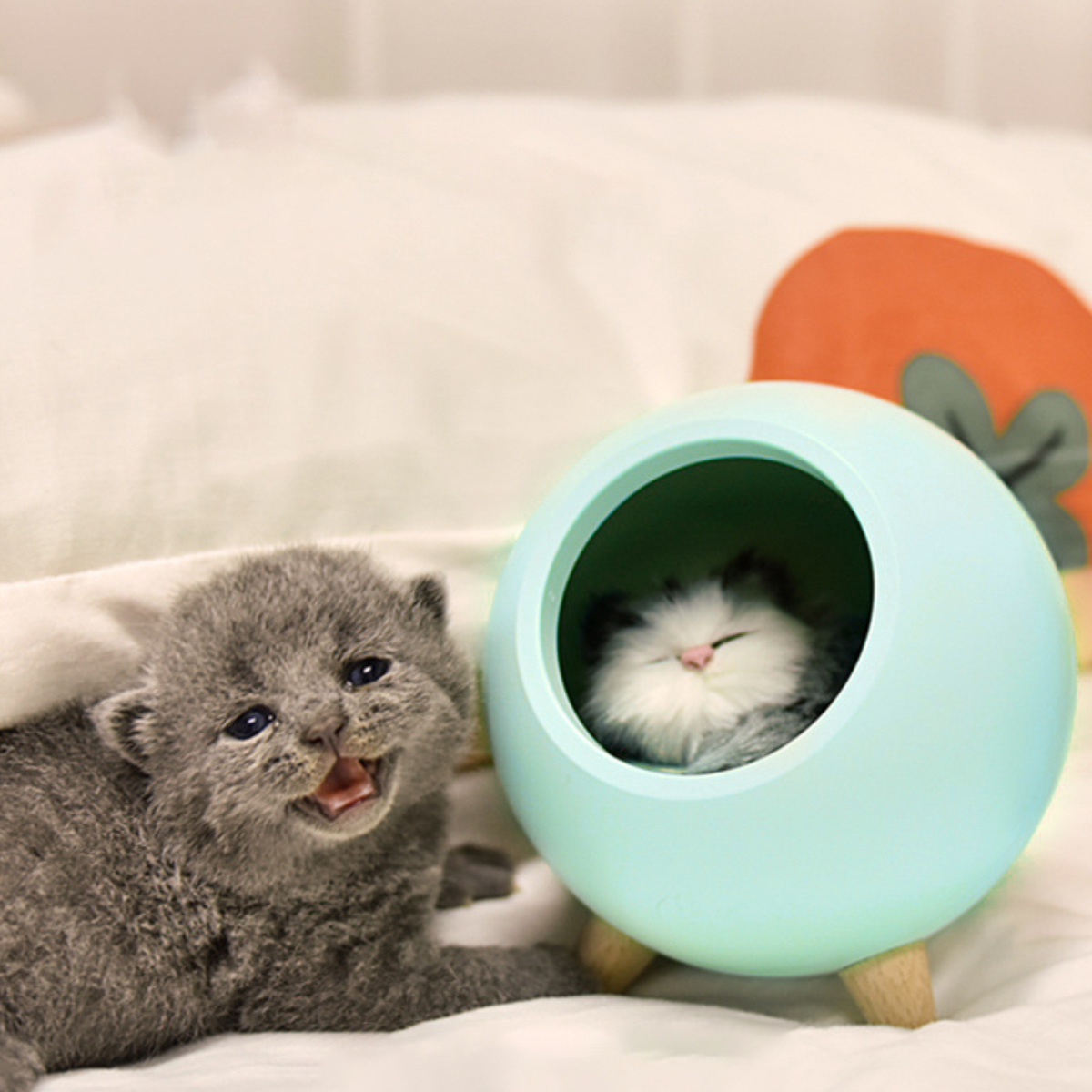 Ein graues Kätzchen mit offenem Mund lächelt neben einem blauen Katzenhaus mit einer schlafenden Katze. Orangefarbene Dekoration im Hintergrund.
