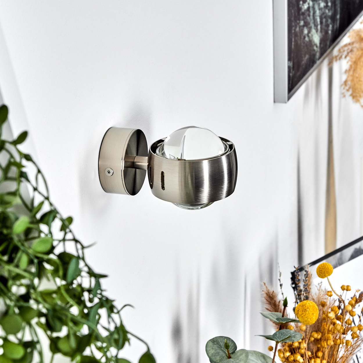 Eine moderne Wandlampe mit Glaskugel an weißer Wand. Grüne Pflanzen und Trockenblumen sind im Vordergrund zu sehen.