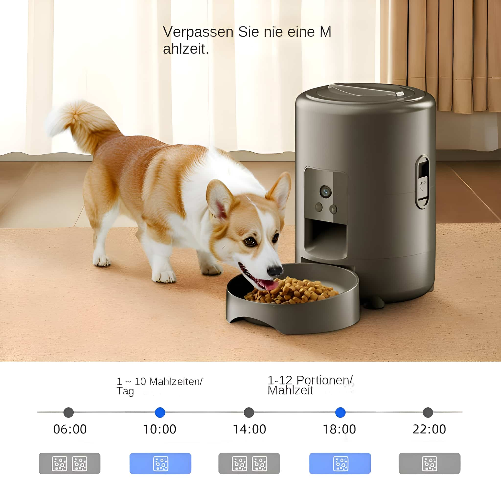 Ein Corgi frisst aus einer Schüssel in der Nähe eines Futterautomaten. Der Text erwähnt Fütterungszeiten.