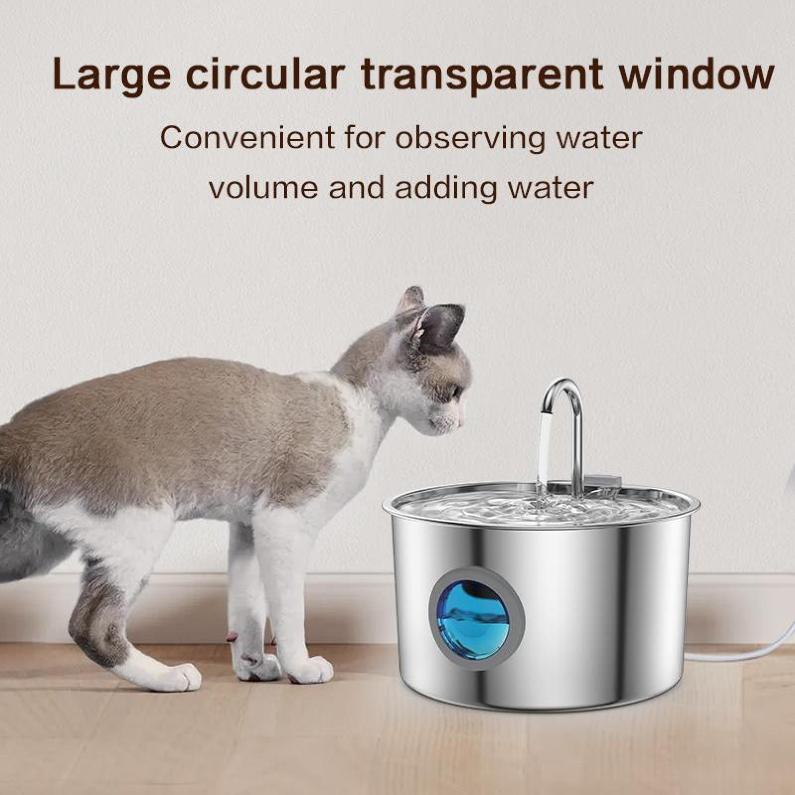 Eine Katze betrachtet Wasser, das aus einem silbernen Brunnen fließt. Der Brunnen hat ein Fenster und Text darüber.