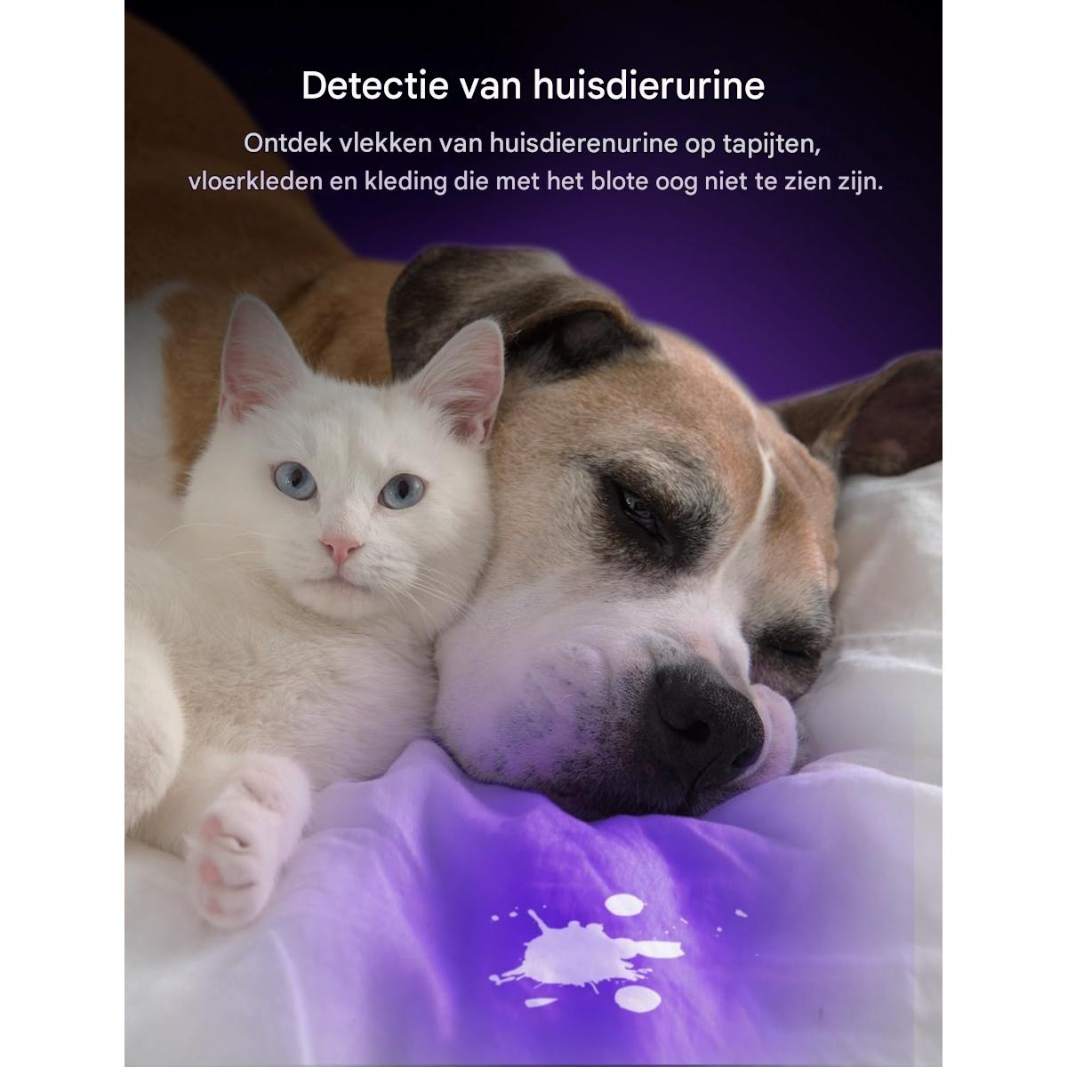 Eine weiße Katze und ein brauner Hund liegen zusammen. Ein violetter Fleck auf dem Bett deutet auf Urinnachweis hin.