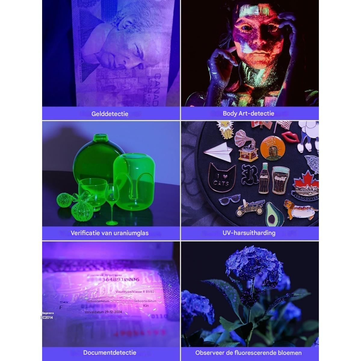 Eine Collage zeigt sechs Bilder: Geld unter UV-Licht, Körperkunst, Glasobjekte, Anstecknadeln, ein Dokument und blaue leuchtende Blumen.