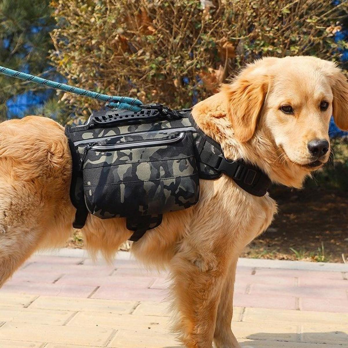 Ein Golden Retriever mit einem Tarnrucksack und einem schwarzen Geschirr, befestigt an einer blauen Leine. Er steht draußen auf einem Ziegelweg.