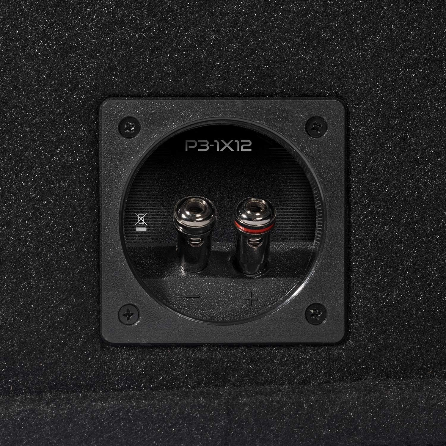 Nahaufnahme eines schwarzen Lautsprechereingangs. Er hat zwei silberne Anschlüsse und den Text 'P3-1X12'. Das Panel befindet sich auf einer strukturierten Oberfläche.