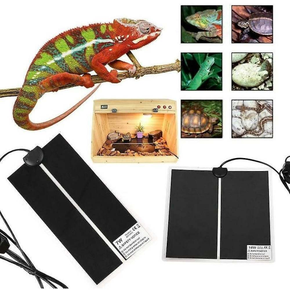 Ein Chamäleon auf einem Ast, kleine Reptiliengehege und Heizmatten werden zusammen mit Bildern von Reptilien und Schildkröten gezeigt.