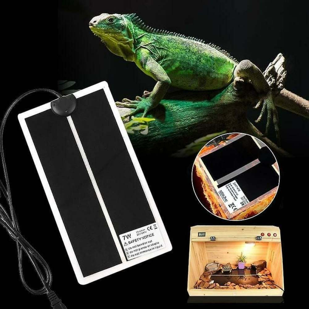 Ein grüner Leguan auf einem Ast, eine schwarz-weiße Reptilien-Heizmatte und ein kleines Reptiliengehege sind zu sehen.